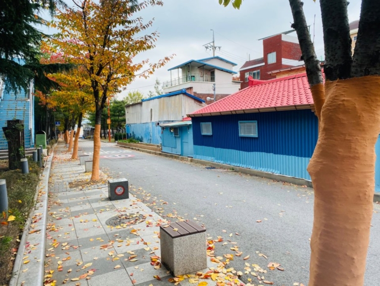 1.인천 동구청 가로수
