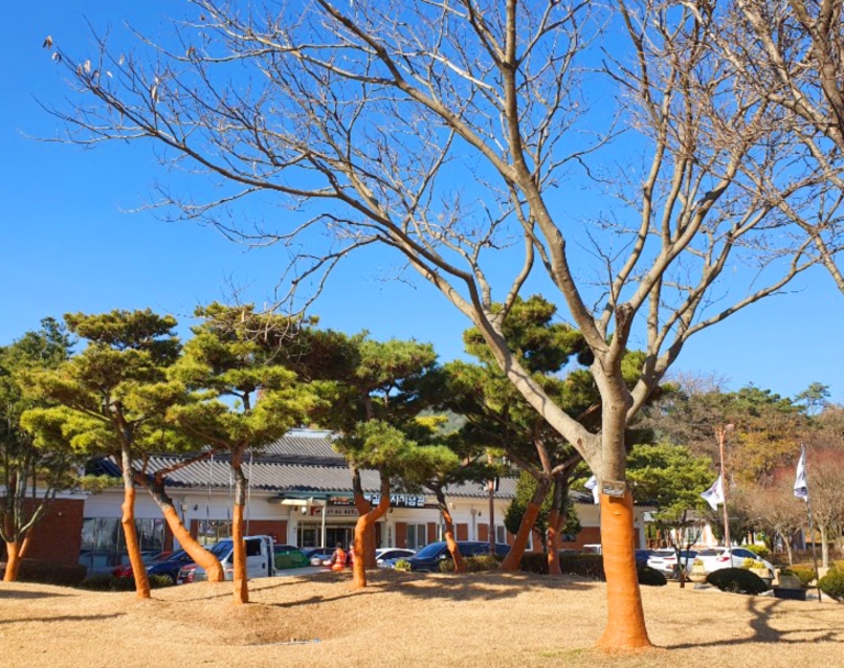 11.예산군 충의사