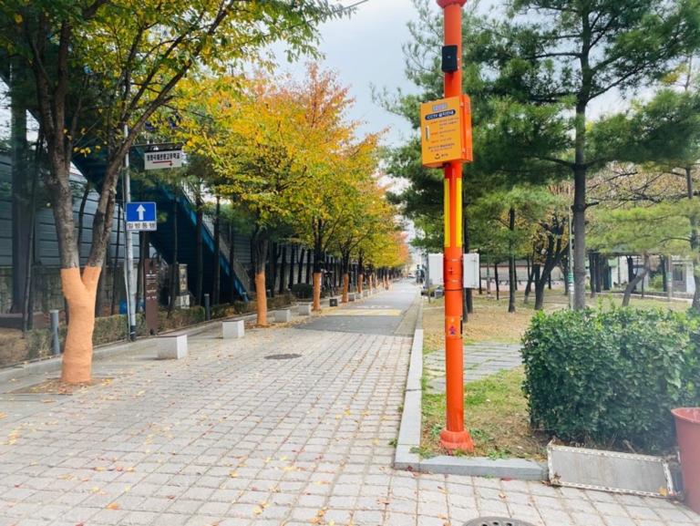 2.인천 동구청 가로수