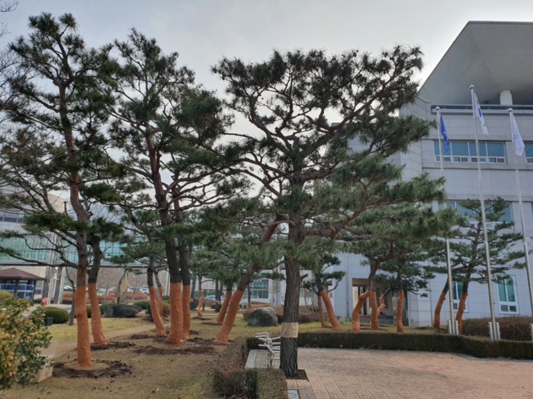 20.보령시청