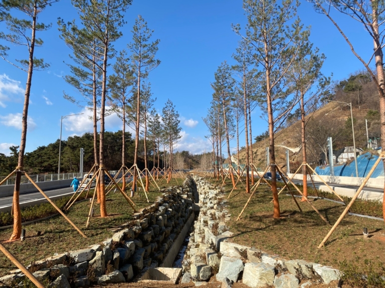 24.대구 외곽순환고속도로