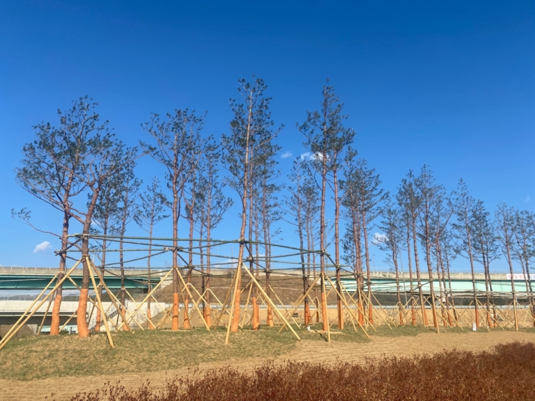 25.대구 외곽순환고속도로