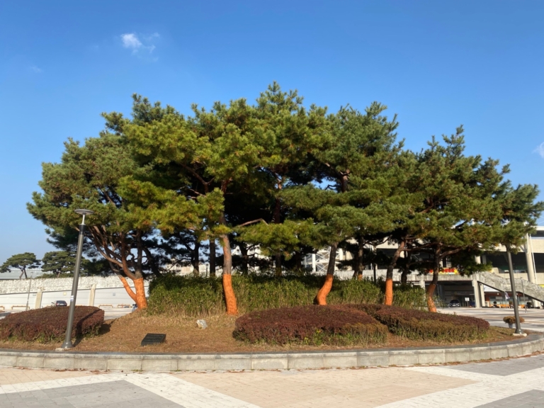 26.천안 종합 운동장