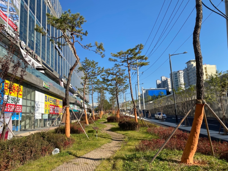 29.천안 운동장 사거리