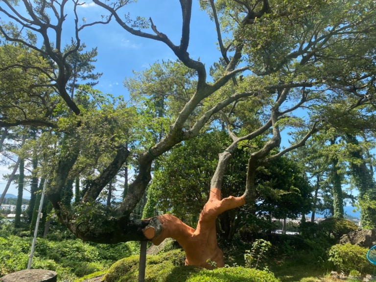 3.제주도 광령2리 가정집