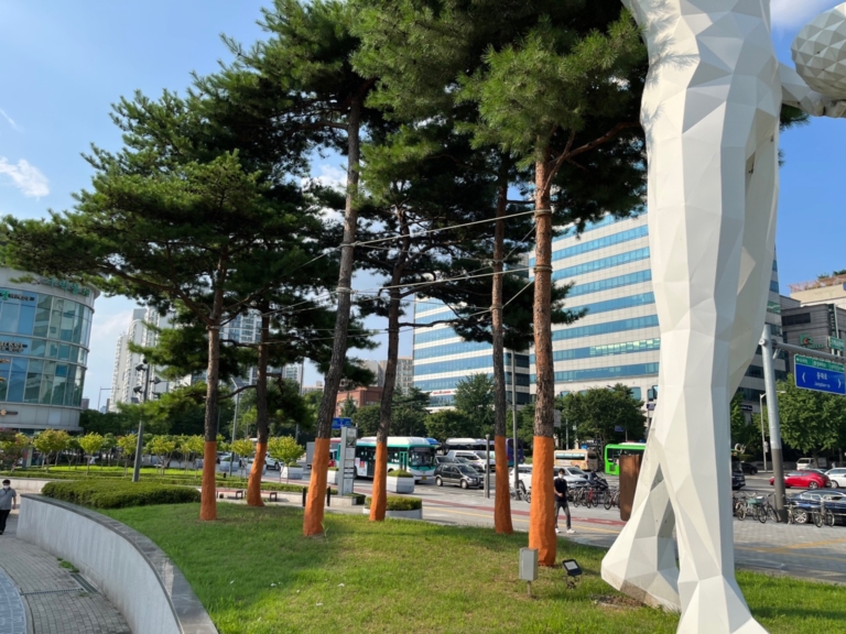 36.서울 가락시장