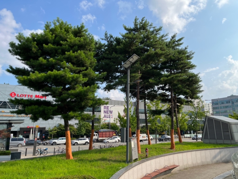 37.서울 가락시장