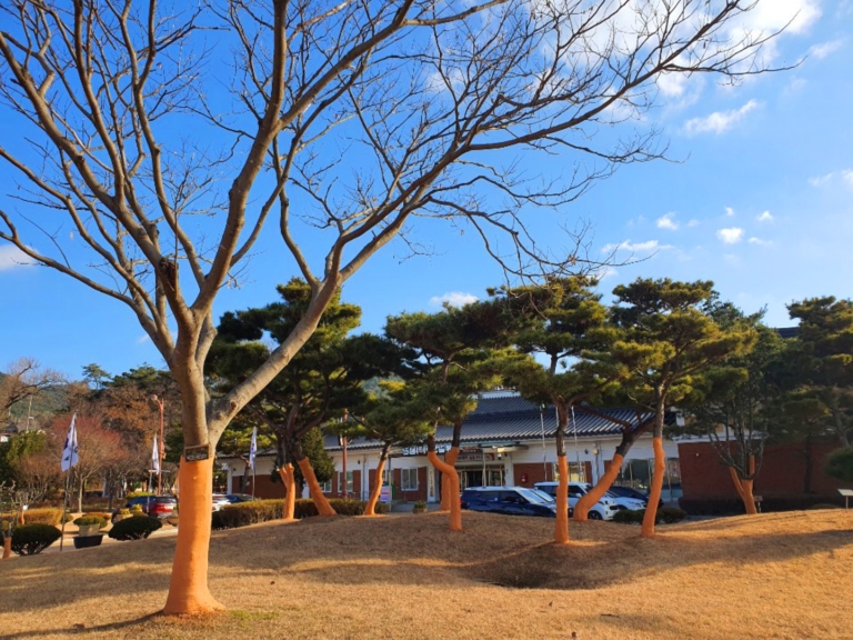9.예산군 충의사
